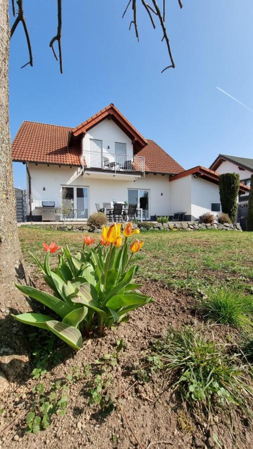 Ferienhaus Antiquarius Bendorf Εξωτερικό φωτογραφία